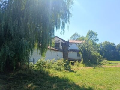 Finca de 8000m2 con casa, molino y canal de riego propio.