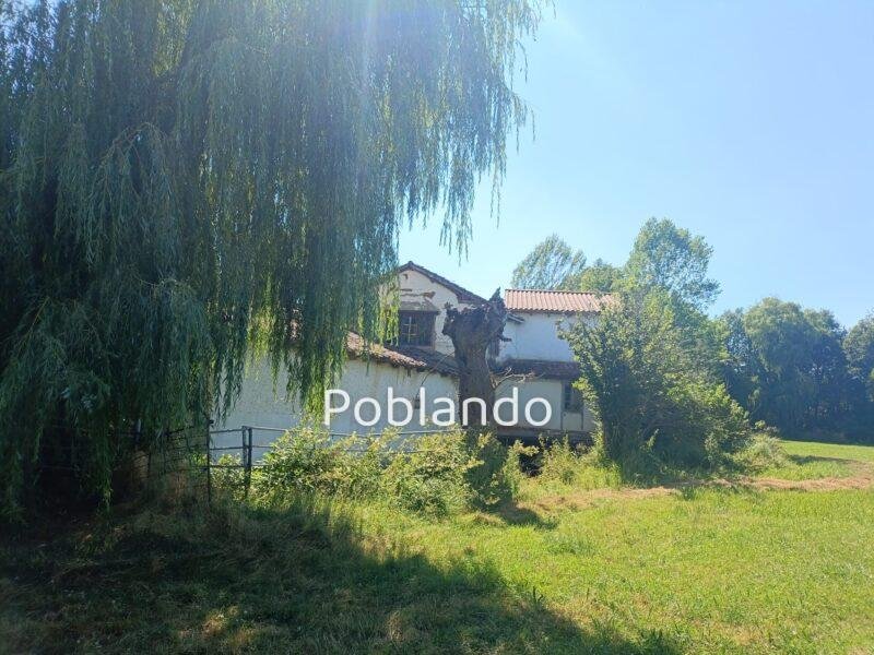 Finca de 8000m2 con casa, molino y canal de riego propio.