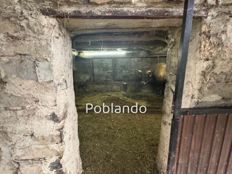 Finca de 30.000 m² con Casa y Cuadras – Oportunidad Inversora (Turismo Rural